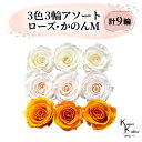 大地農園 「ローズかのんM 3色×3輪アソート 計9輪」 「アンティックホワイト ホワイトシャンパン フルーティオレンジ」 プリザーブドフラワー バラ プリザ 花材 ハーバリウム おしゃれ かわいい プレゼント 贈り物 オオチノウエン