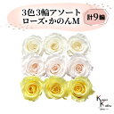 大地農園 「ローズかのんM 3色×3輪アソート 計9輪」 「アンティックホワイト ホワイトシャンパン モーニングイエロー」 プリザーブドフラワー バラ プリザ 花材 ハーバリウム おしゃれ かわいい プレゼント 贈り物 オオチノウエン