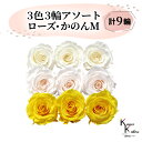 大地農園 「ローズかのんM 3色×3輪アソート 計9輪」 「アンティックホワイト ホワイトシャンパン ミモザイエロー」 プリザーブドフラワー バラ プリザ 花材 ハーバリウム おしゃれ かわいい プレゼント 贈り物 オオチノウエン