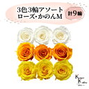 大地農園 「ローズかのんM 3色×3輪アソート 計9輪」 「アンティックホワイト フルーティオレンジ ミモザイエロー」 プリザーブドフラワー バラ プリザ 花材 ハーバリウム おしゃれ かわいい プレゼント 贈り物 オオチノウエン