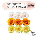 大地農園 「ローズかのんM 3色×3輪アソート 計9輪」 「ホワイトシャンパン フルーティオレンジフルーティオレンジ モーニングイエロー」 プリザーブドフラワー バラ プリザ 花材 ハーバリウム おしゃれ かわいい プレゼント 贈り物 オオチノウエン