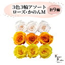 大地農園 「ローズかのんM 3色×3輪アソート 計9輪」 「ホワイトシャンパン フルーティオレンジ ミモザイエロー」 プリザーブドフラワー バラ プリザ 花材 ハーバリウム おしゃれ かわいい プレゼント 贈り物 オオチノウエン