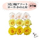 大地農園 「ローズかのんM 3色×3輪アソート 計9輪」 「ホワイトシャンパン モーニングイエロー ミモザイエロー」 プリザーブドフラワー バラ プリザ 花材 ハーバリウム おしゃれ かわいい プレゼント 贈り物 オオチノウエン