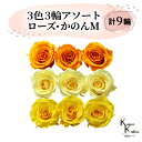 大地農園 「ローズかのんM 3色×3輪アソート 計9輪」 「フルーティオレンジ モーニングイエロー ミモザイエロー」 プリザーブドフラワー バラ プリザ 花材 ハーバリウム おしゃれ かわいい プレゼント 贈り物 オオチノウエン