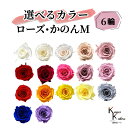 大地農園 「ローズかのんM 6輪 選べるカラー」 プリザーブドフラワー バラ プリザ 花材 ハーバリウム おしゃれ かわいい プレゼント 贈り物 オオチノウエン