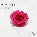 大地農園!プリザーブドフラワー 「ローズいずみ 1輪 フランボワーズ」プリザ 花材 ハーバリウム おしゃれ かわいい プレゼント 贈り物 オオチノウエン バラ 薔薇 ローズ rose(4)