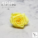 大地農園!プリザーブドフラワー 「ローズいずみ 1輪 モーニングイエロー」プリザ 花材 ハーバリウム おしゃれ かわいい プレゼント 贈り物 オオチノウエン バ...