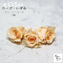 大地農園!プリザーブドフラワー 「ローズいずみ 3輪 クリーミーピーチ」プリザ 花材 ハーバリウム おしゃれ かわいい プレゼント 贈り物 オオチノウエン バラ...