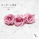 大地農園!プリザーブドフラワー 「ローズいずみ 3輪 クリスタルピンク」プリザ 花材 ハーバリウム おしゃれ かわいい プレゼント 贈り物 オオチノウエン バラ...