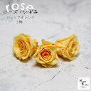 大地農園!プリザーブドフラワー 「ローズいずみ 3輪 ジュリアオレンジ」プリザ 花材 ハーバリウム おしゃれ かわいい プレゼント 贈り物 オオチノウエン バラ...