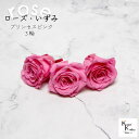 大地農園!プリザーブドフラワー 「ローズいずみ 3輪 プリンセスピンク」プリザ 花材 ハーバリウム おしゃれ かわいい プレゼント 贈り物 オオチノウエン バラ...