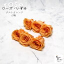 大地農園!プリザーブドフラワー 「ローズいずみ 6輪 タルトオレンジ」プリザ 花材 ハーバリウム おしゃれ かわいい プレゼント 贈り物 オオチノウエン バラ 薔薇 ローズ rose(4)