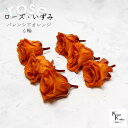 大地農園!プリザーブドフラワー 「ローズいずみ 6輪 バレンシアオレンジ」プリザ 花材 ハーバリウム おしゃれ かわいい プレゼント 贈り物 オオチノウエン バ...