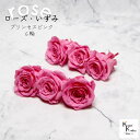 大地農園!プリザーブドフラワー 「ローズいずみ 6輪 プリンセスピンク」プリザ 花材 ハーバリウム おしゃれ かわいい プレゼント 贈り物 オオチノウエン バラ...