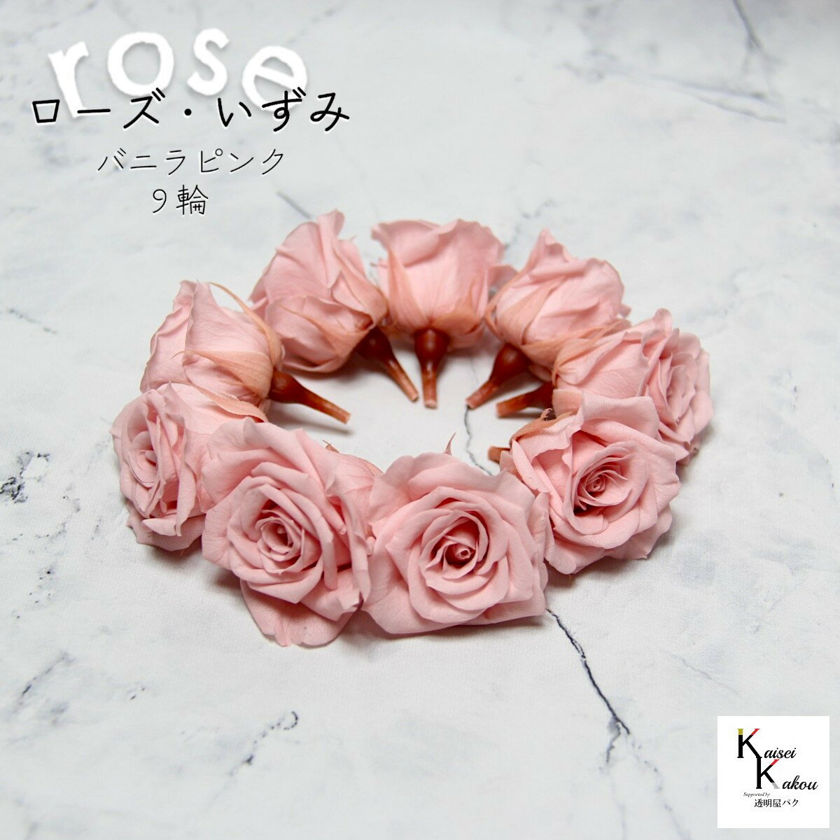大地農園！プリザーブドフラワー 「ローズいずみ 9輪 バニラピンク」プリザ 花材 ハーバリウム おしゃ..