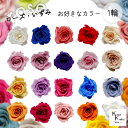 大地農園!プリザーブドフラワー 「ローズいずみ カラーが選べる 1輪 」プリザ 花材 ハーバリウム おしゃれ かわいい プレゼント 贈り物 オオチノウエン バラ...