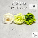 大地農園!プリザーブドフラワー 「ローズいずみ カラーアソート グリーンミックス 1輪ずつ3輪」 「ライトグリーン フレッシュグリーン アンティックホワイト 1...