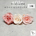 大地農園!プリザーブドフラワー 「ローズいずみ カラーアソート ホワイトピンクミックス 1輪ずつ3輪」 「ホワイトシャンパン ブライダルピンク バニラピンク 1...