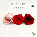 大地農園!プリザーブドフラワー 「ローズいずみ カラーアソート レッドミックス 1輪ずつ3輪」 「ワインレッド クイーンレッド モーヴピンク 1輪ずつ3輪」 プ...