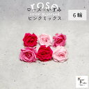 大地農園!プリザーブドフラワー 「ローズいずみ カラーアソート ピンクミックス 2輪ずつ6輪」 「シャーベットピンク プリンセスピンク フランボワーズ 2輪ずつ...