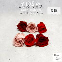 大地農園!プリザーブドフラワー 「ローズいずみ カラーアソート レッドミックス 2輪ずつ6輪」 「ワインレッド クイーンレッド モーヴピンク 2輪ずつ6輪」 プ...