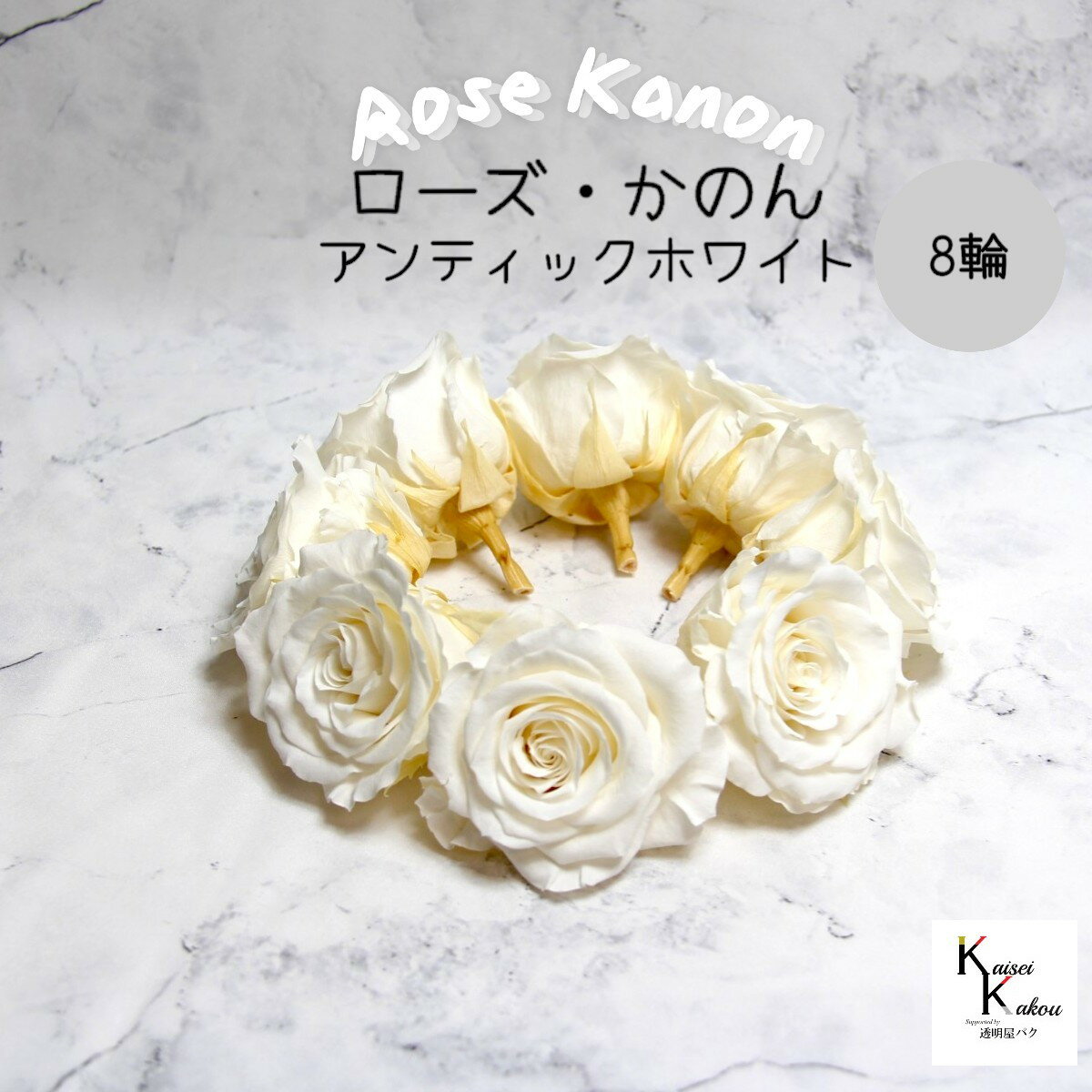 大地農園！プリザーブドフラワー 「ローズかのんL アンティックホワイト 8輪」プリザ 花材 ハーバリウム おしゃれ かわいい プレゼント 贈り物　オオチノウエン