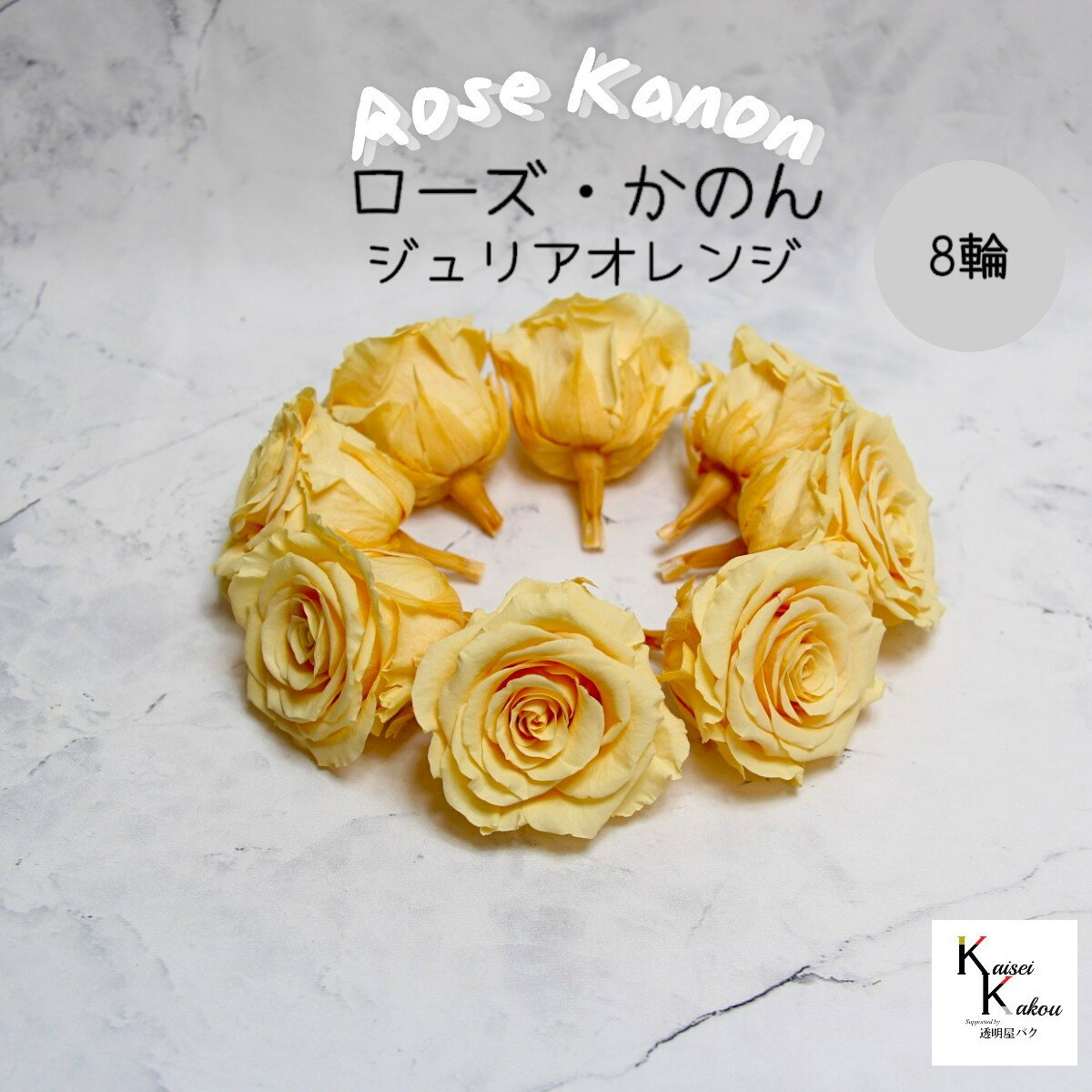 ࡪץꥶ֥ɥե ֥ΤL ꥢ 8ءץץꥶ ֺ ϡХꥦ  襤 ץ쥼 £ʪΥ