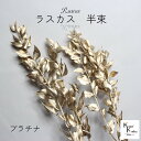 大地農園! プリザーブドフラワー 「ラスカス プラチナ 半束」プリザ ドライフラワー 花材 装飾 ハーバリウム おしゃれ かわいい プレゼント 贈り物 オオチノ...