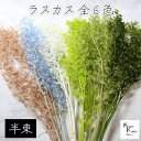 大地農園! プリザーブドフラワー 「ラスカス 半束 選べる」プリザ ドライフラワー 花材 装飾 ハーバリウム おしゃれ かわいい プレゼント 贈り物 オオチノウエン
