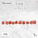 大地農園!プリザーブドフラワー 10輪【千日紅 センニチコウ バニラピンク】ヘッドのみ プリザ 花材 ハーバリウム おしゃれ かわいい プレゼント 贈り物 オオチノウエン(4)