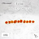 大地農園!プリザーブドフラワー 10輪【千日紅 センニチコウ フルーティーオレンジ】ヘッドのみ プリザ 花材 ハーバリウム おしゃれ かわいい プレゼント 贈...