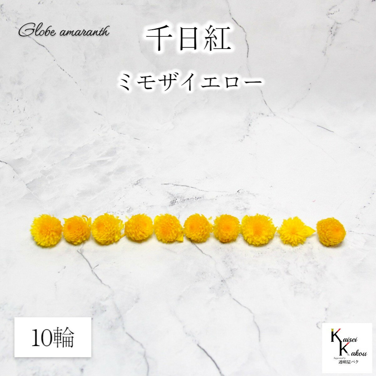 大地農園！プリザーブドフラワー 　10輪【千日紅　センニチコウ ミモザイエロー】ヘッドのみ　プリザ　..