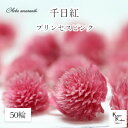 大地農園!プリザーブドフラワー 50輪【千日紅 センニチコウ プリンセスピンク】ヘッドのみ プリザ 花材 ハーバリウム おしゃれ かわいい プレゼント 贈り物 オオチノウエン(4)
