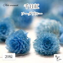 大地農園!プリザーブドフラワー 20輪【千日紅 センニチコウ ソーダブルー】ヘッドのみ プリザ 花材 ハーバリウム おしゃれ かわいい プレゼント 贈り物 オ...