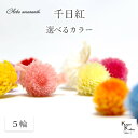 大地農園!プリザーブドフラワー 5輪【千日紅 センニチコウ】ヘッドのみ プリザ 花材 ハーバリウム おしゃれ かわいい プレゼント 贈り物 オオチノウエン