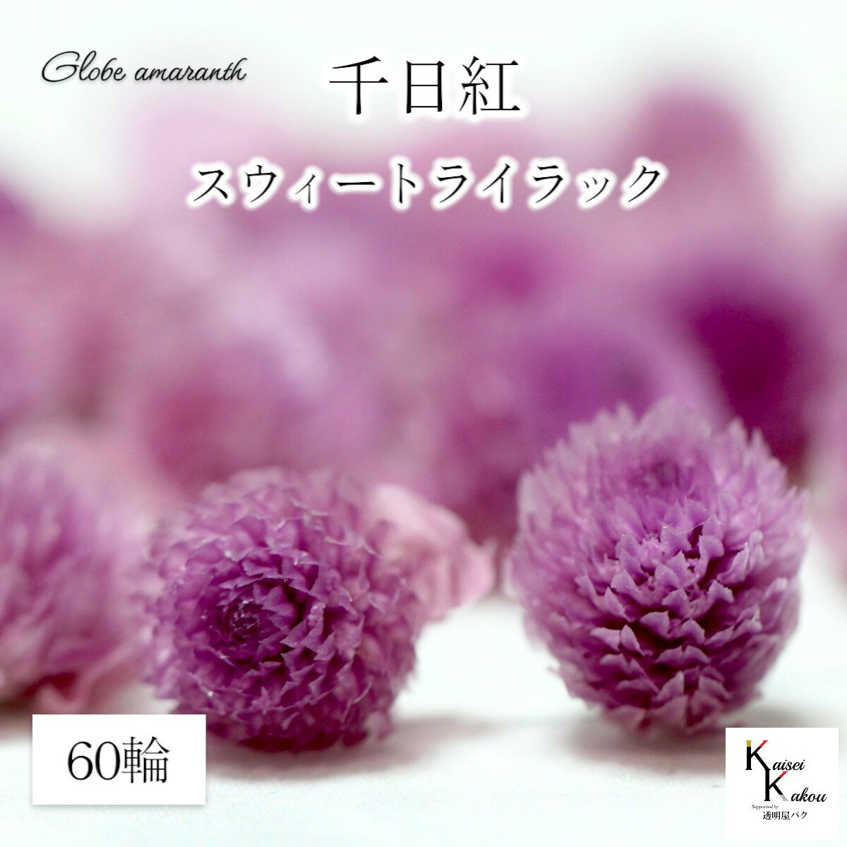 大地農園！プリザーブドフラワー 　60輪【千日紅　センニチコウ スウィートライラック】ヘッドのみ　プ..