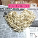 大地農園!プリザーブドフラワー 「スパニッシュモス・ソフト 白 50g」プリザ 花材 ハーバリウム おしゃれ かわいい プレゼント 贈り物 オオチノウエン
