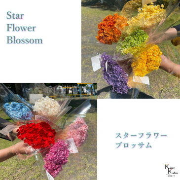 「大地農園 スターフラワー ブロッサム オレンジ 半束」 小花 ドライフラワー ハーバリウム アロマワックスバー サシェ キャンドル 花材