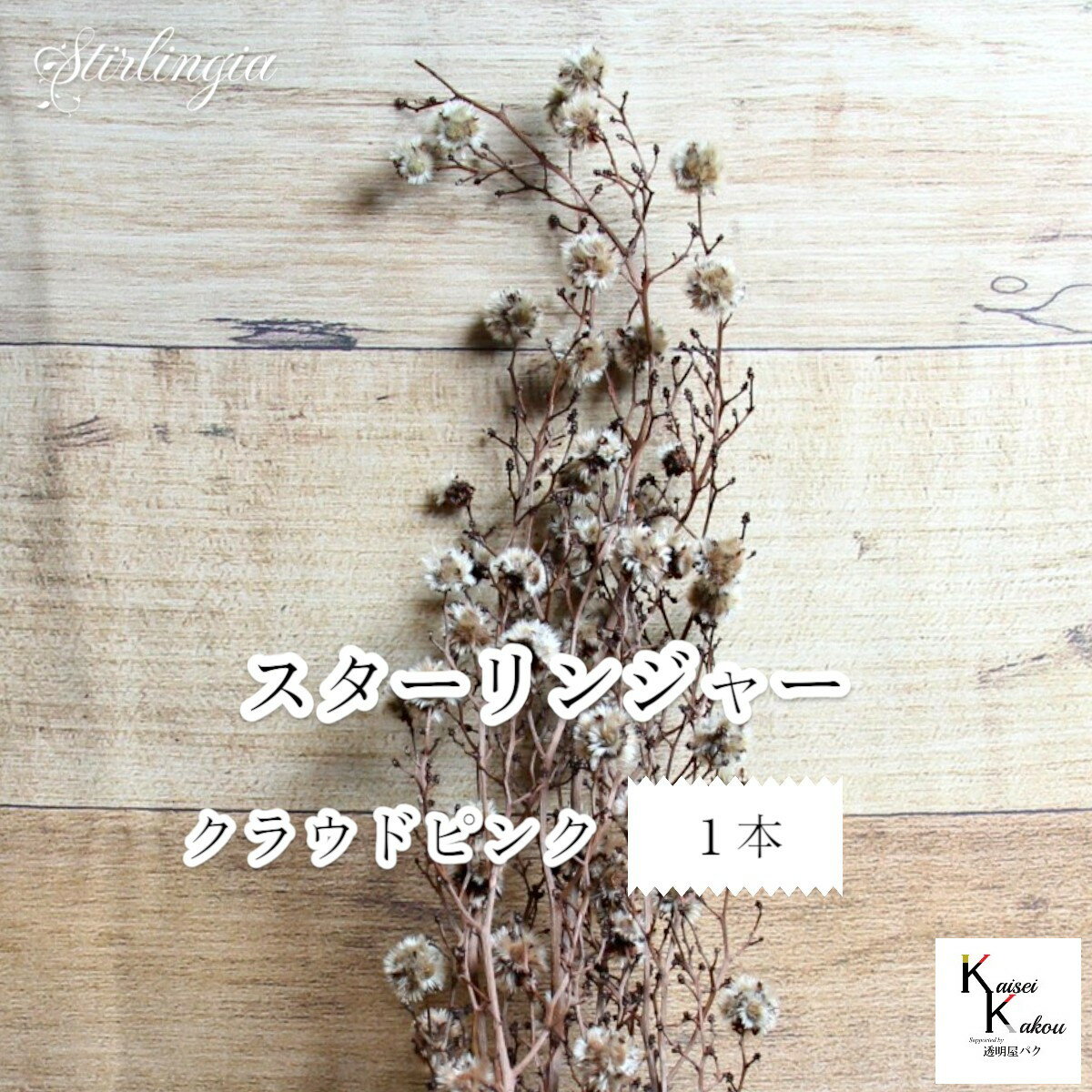 大地農園！プリザーブドフラワー 「スターリンジャー クラウドピンク 1本」プリザ 花材 ハーバリウム ..
