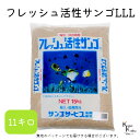 サンゴサービス 「フレッシュ活性サンゴ LLLサイズ 11kg」 サンゴ 天然珊瑚砂 coral 海水魚 観賞魚