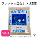 サンゴサービス 「フレッシュ活性サンゴ SSSサイズ 900g」 サンゴ 天然珊瑚砂 coral 海水魚 観賞魚 熱帯魚 海 珊瑚 海水水槽 アクアリウム アクアグッズ アクア用品 底砂 砂 天然 珊瑚砂 サンゴ砂 海水 水槽 水槽砂 水槽用 活性 水槽の砂 細かい すな きれい