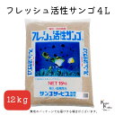 サンゴサービス 「フレッシュ活性サンゴ 4Lサイズ 12kg」 サンゴ 天然珊瑚砂 coral 海水魚 観賞魚