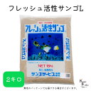 サンゴサービス 「フレッシュ活性サンゴ Lサイズ 2kg」 サンゴ 天然珊瑚砂 coral 海水魚 観賞魚