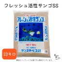 サンゴサービス 「フレッシュ活性サンゴ SSサイズ 13kg」 サンゴ 天然珊瑚砂 coral 海水魚 観賞魚