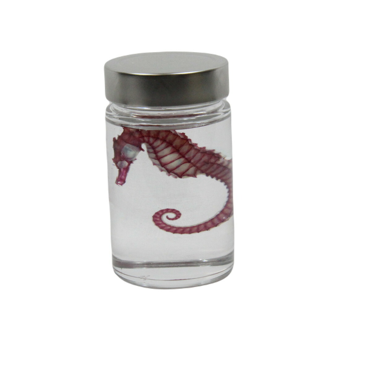 ��Ʃ��ɸ�ܡ����ĥΥ��ȥ����� ɸ�� ���� ���� �� ����ƥꥢ ���� ������ȥ� ���ꥢ ������� Ʃ���� Ʃ���ܥȥ� ���ꥻ��� ��˶ ���� �ͥå��쥹 �ޥ��ͥå� ������ �ե����� ���� ��ͳ���� �ѥ��� ���� ���������꡼ �顼��������