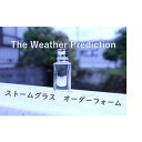 晴雨予報グラス あなたの好きな瓶でストームグラス作ります！ストームグラス　オーダーページ　天気 お天気管 フィッツロイ バロメーター 海底2万マイル 結晶 ウェザーグラス テンポドロップ 気象計 天気予報 ハンドメイド インテリアグッズ インテリア雑貨 ハンドメイド雑貨