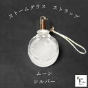 天気がわかるストラップ!「ストームグラス ストラップ kousui3 ムーン シルバー」 お天気管 フィッツロイ バロメーター 気象予報 ペンダント 気象計 ハンドメイドアクセサリー ハンドメイドネックレス プレゼント 贈り物 贈物