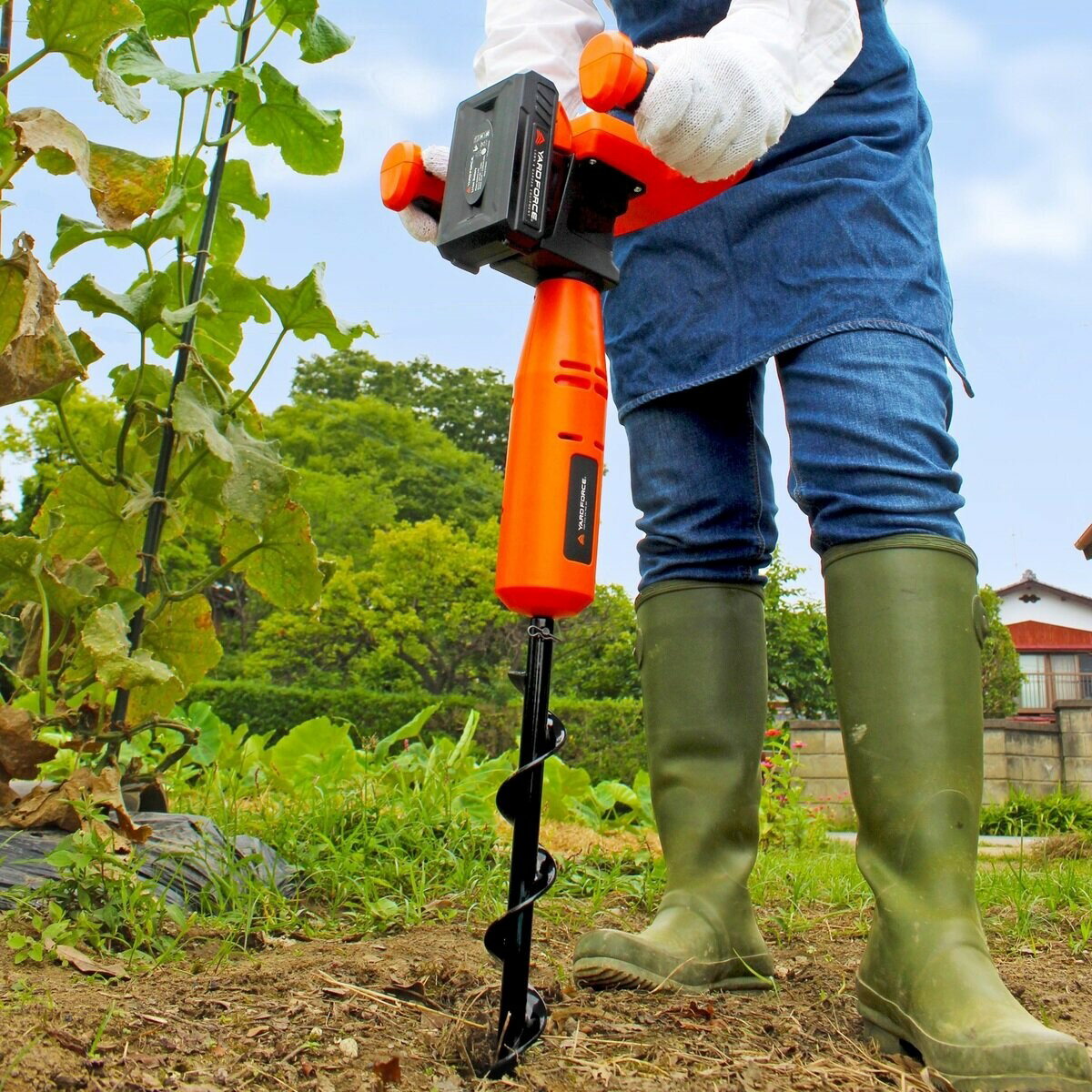 ����̵��(���졦�̳�ƻ��Υ������)���䡼�ɥե����� 24V �����ɥ쥹 �귡�굡