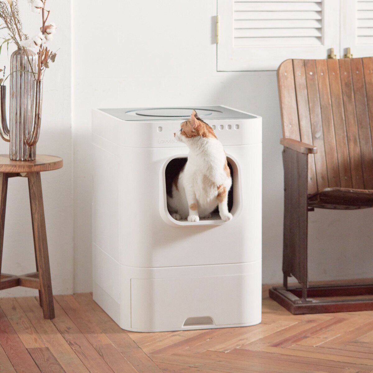 ����̵��(���졦�̳�ƻ��Υ������)��SDGs��ȶ����Ҹˤ��ȯ�� Lavvie Bot S ��ư�ݽ��ȼ�ư���佼�Υͥ��ѥȥ���Lavvie Bot S Automatic Cat Litter Cleaner and Refiller (�̳�ƻ��1000�ߡ����졦Υ��2000�߼�ư�û��ˡ�SDGs��ȶ����Ҹˤ��ȯ��