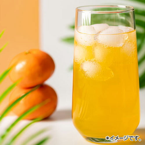 jejufeel �ѽ��ߤ��󥨡��� 230mL��1�� �ѥ����ɥ�� �ڹ���� �ڹ���